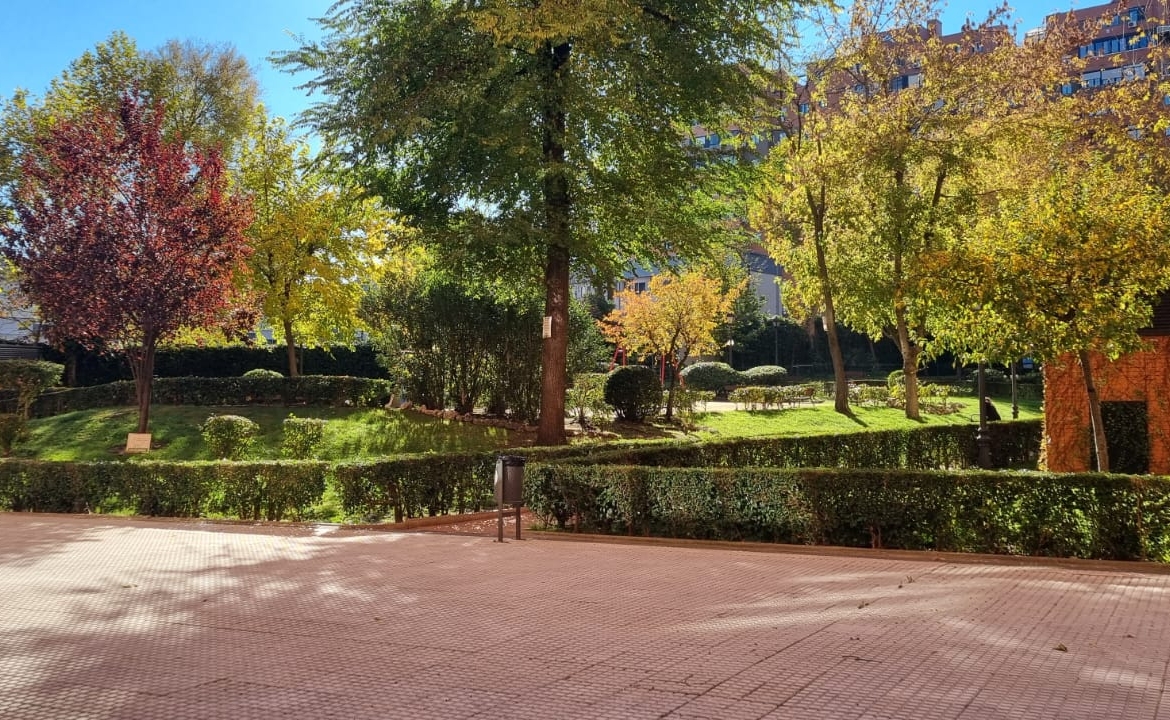 Calle Iglesia 48 Camarena 13