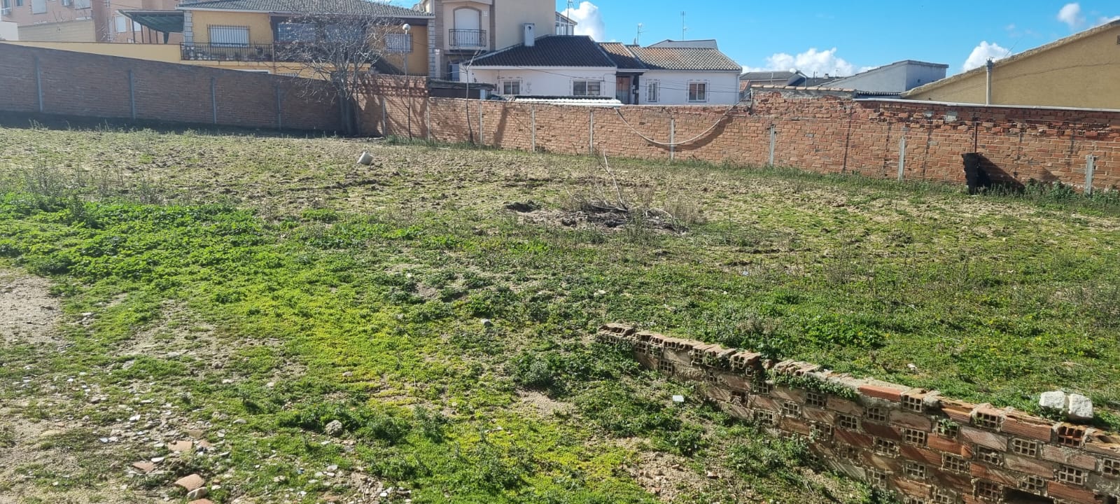Terreno en Cañuelo Camarena 04