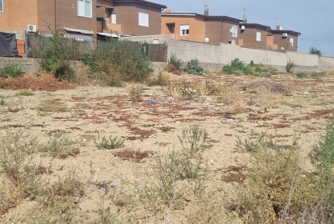 Terreno