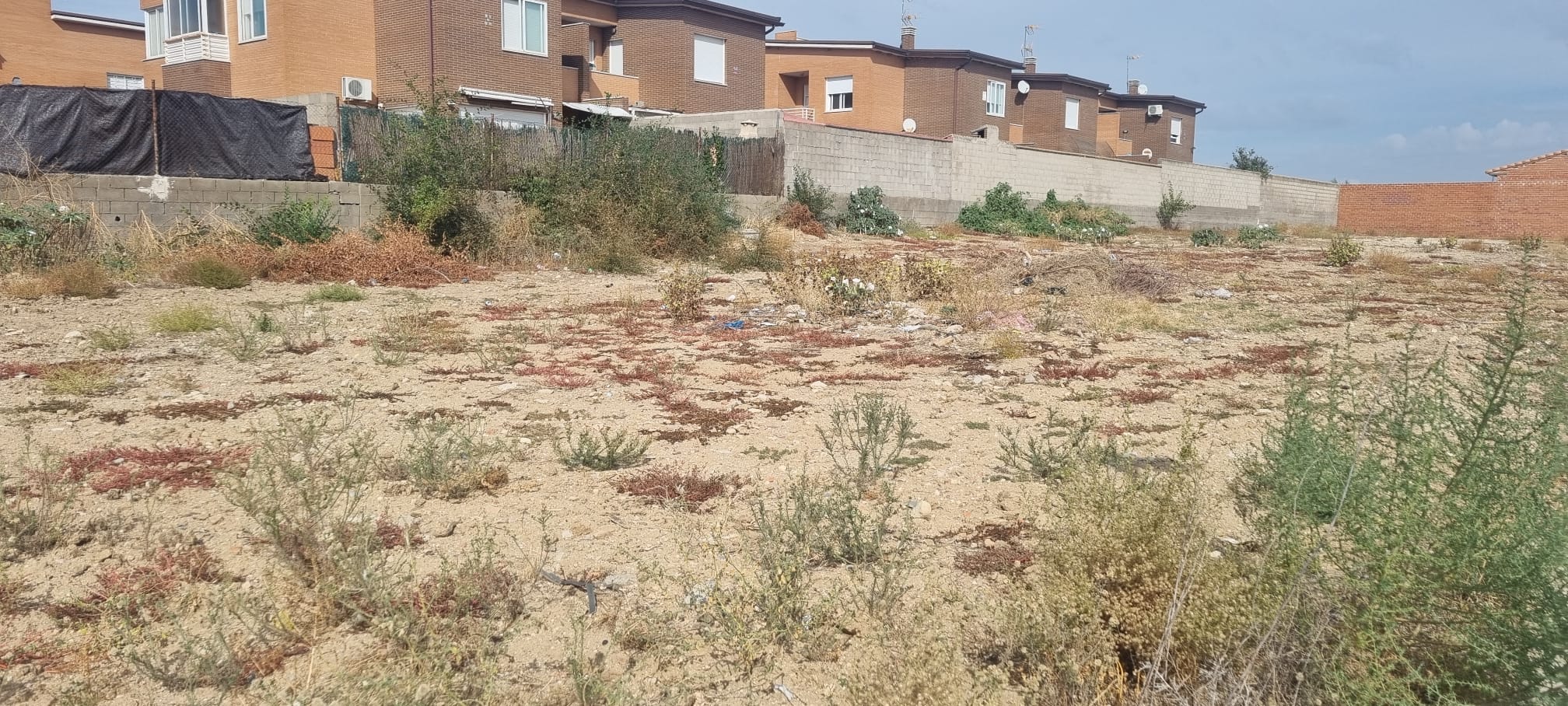 Terreno