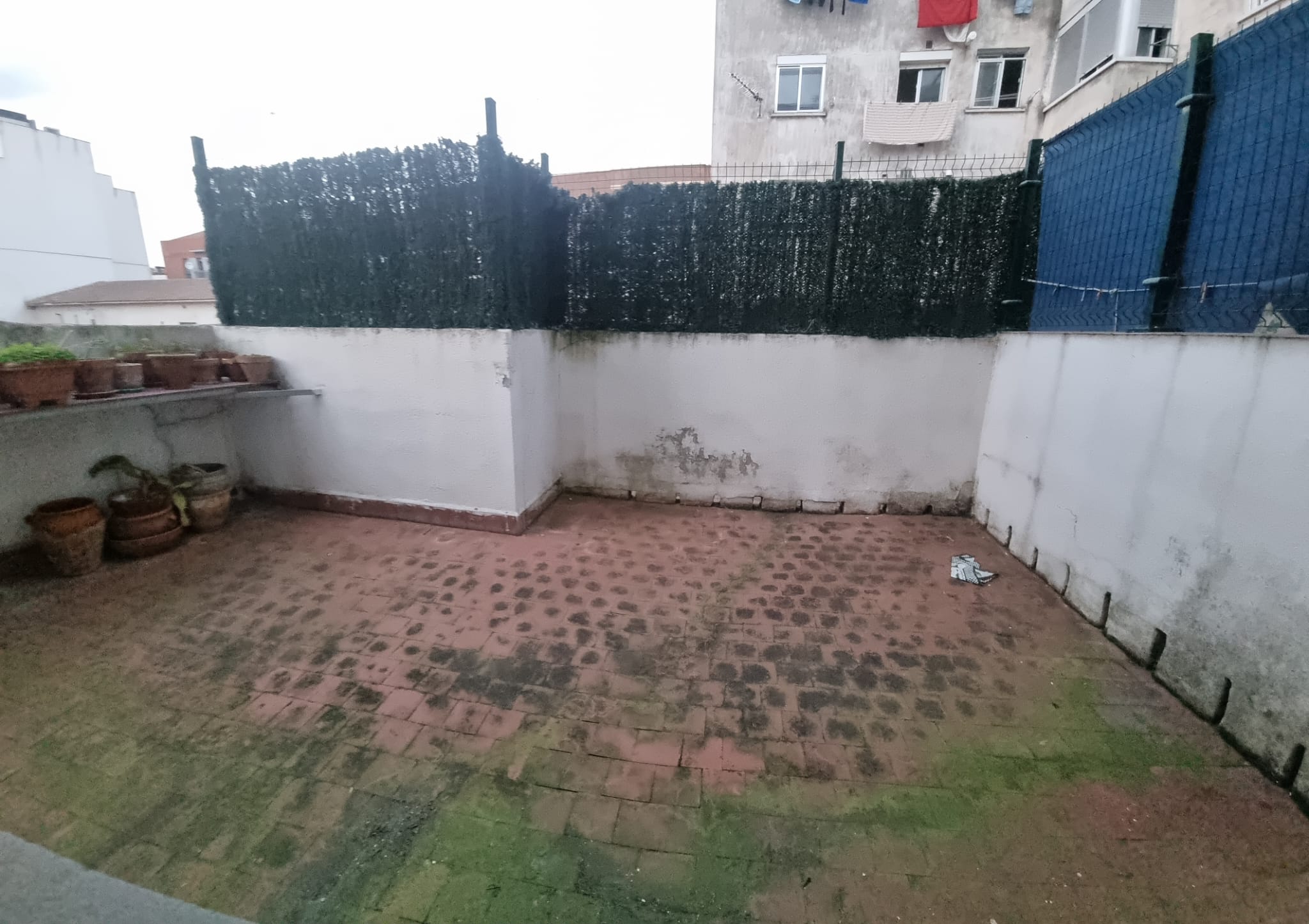 patio1 patio1